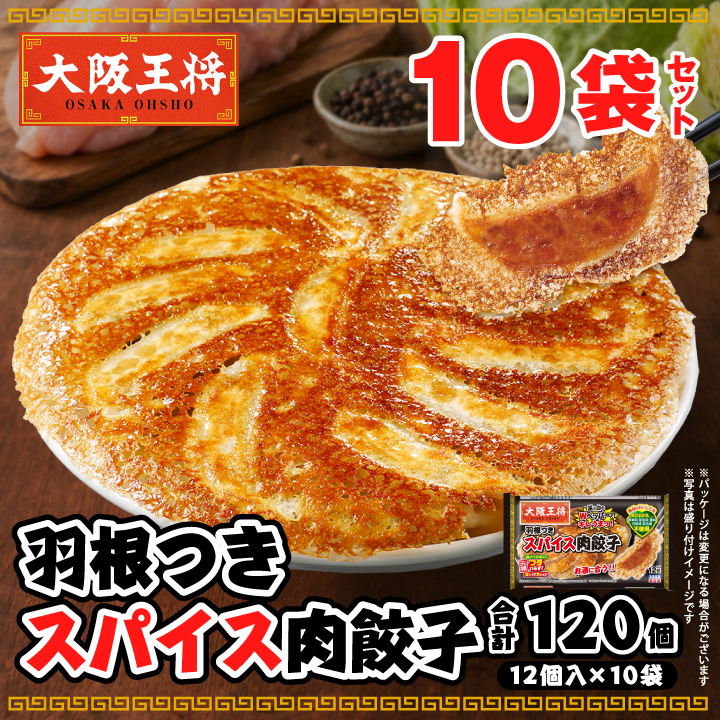羽根つきスパイス肉餃子10袋セット