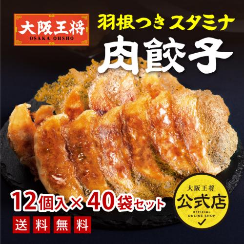 羽根つきスタミナ肉餃子12個入×40袋　20袋×2ケース【同梱不可】業務用
