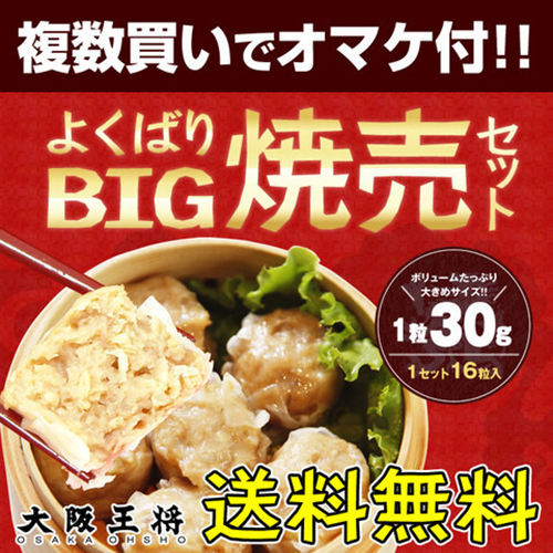 大阪王将 よくばりBIG焼売セット｜大粒肉焼売16個入り