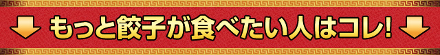 もっと餃子が食べたい人はコレ