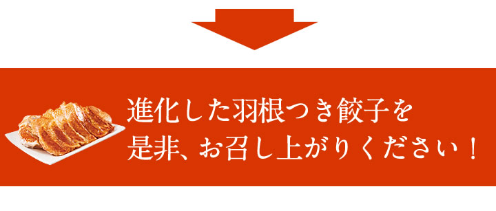 羽根つき餃子