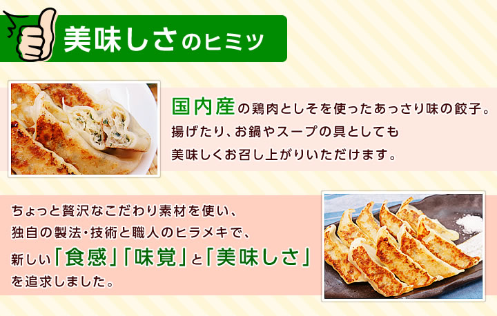 鶏しそ餃子