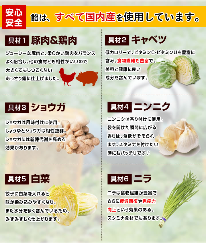 羽根つき餃子